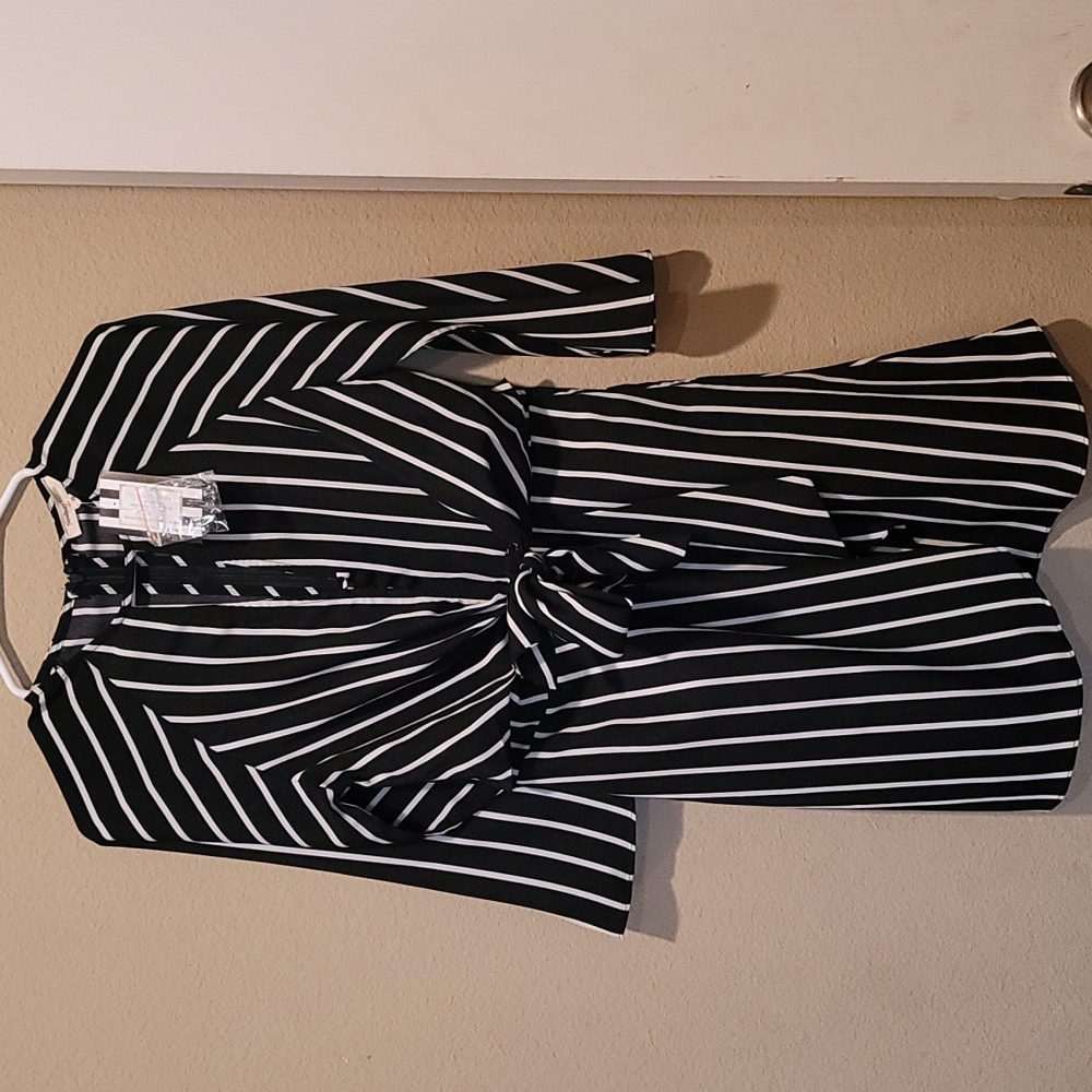 Black and white stripe dreaa